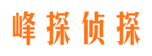 平远外遇出轨调查取证